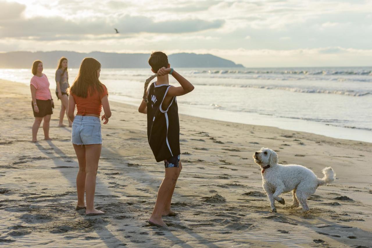 Ohope Beach Top 10 Holiday Park Экстерьер фото